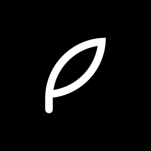 Quote Maker for Writer